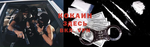 дурь Дмитровск