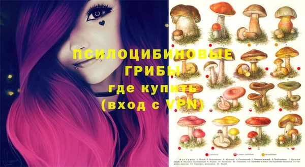 соль ск Ельня