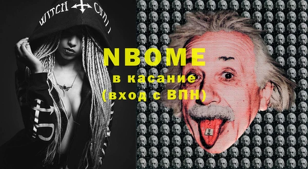 соль ск Ельня
