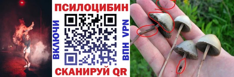 Псилоцибиновые грибы Psilocybine cubensis  сколько стоит  Трёхгорный 