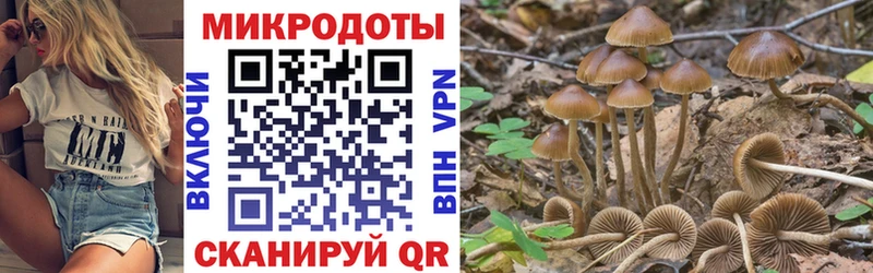 Галлюциногенные грибы мухоморы Трёхгорный