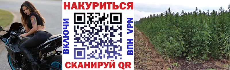 закладка  Трёхгорный  Бошки марихуана планчик 